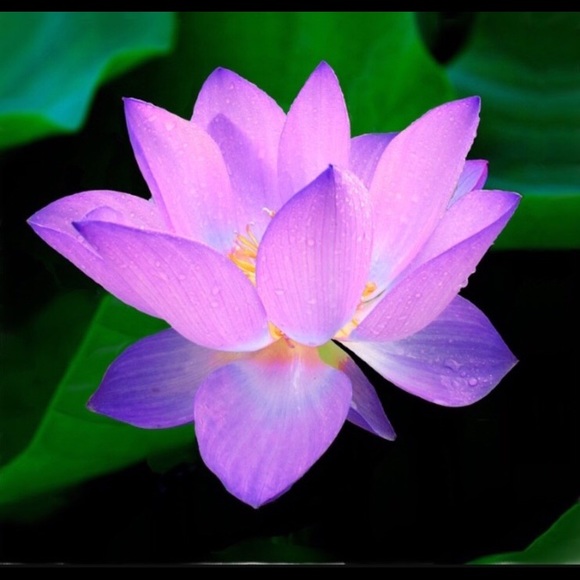 Bookmark Me! - Picture 8 of 8